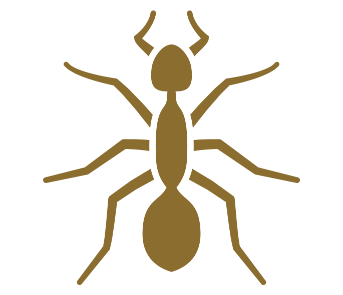 Pest Control, WinstonSalem, NC Brown Pest Control