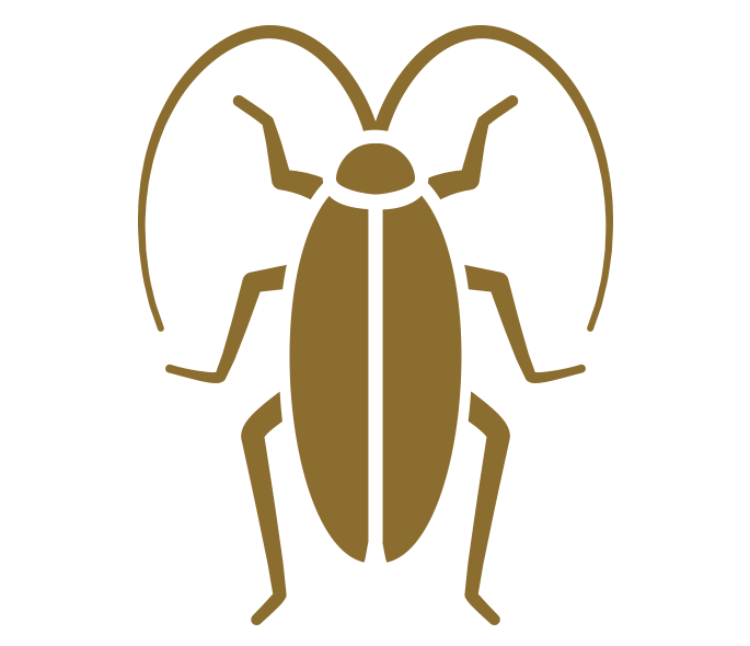 Pest Control, WinstonSalem, NC Brown Pest Control