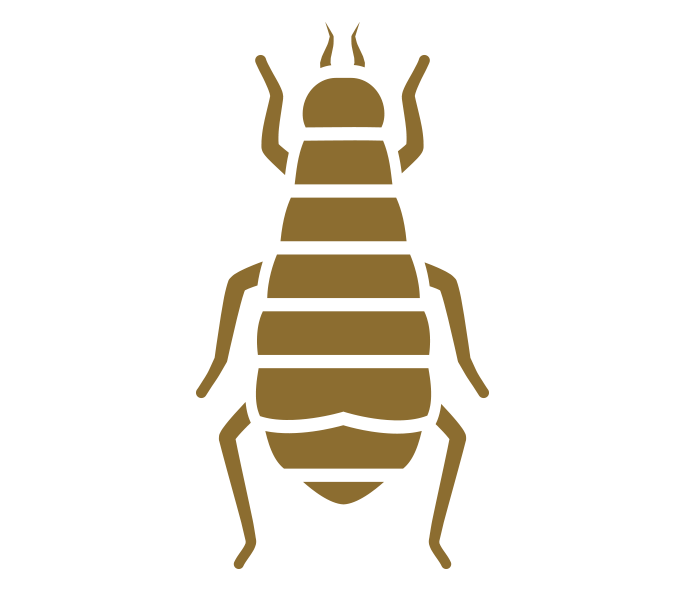 Pest Control, WinstonSalem, NC Brown Pest Control