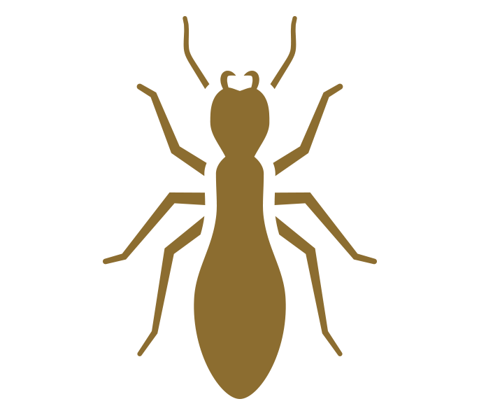 Pest Control, WinstonSalem, NC Brown Pest Control