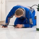 Home Pest Inspection
