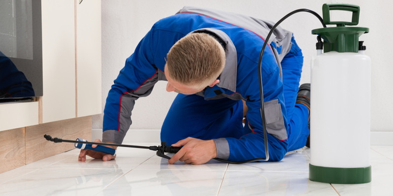 Green Pest Control in Mocksville, North Carolina