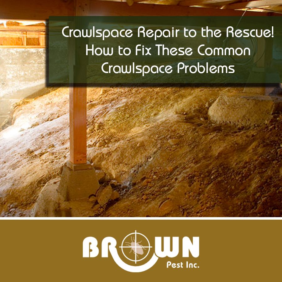 Crawlspace Repair to the Rescue! How to Fix These Common Crawlspace Problems.