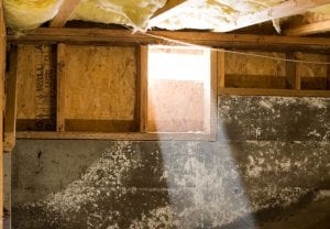 Reasons to Consider a Crawlspace Renovation