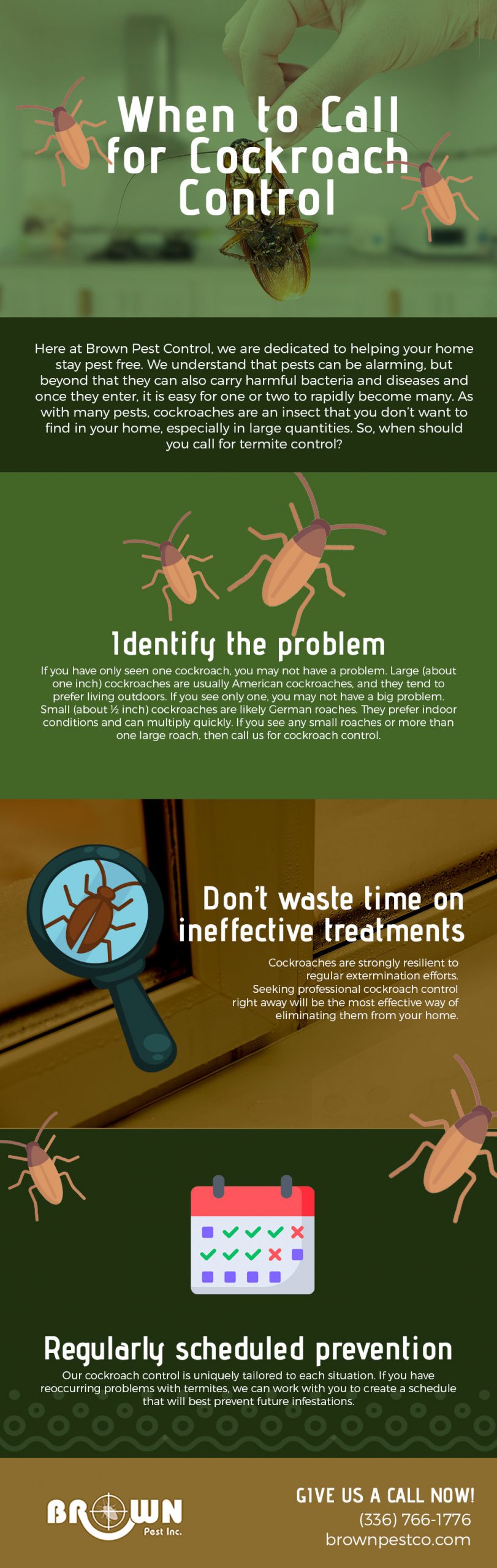 When to Call for Cockroach Control [infographic]