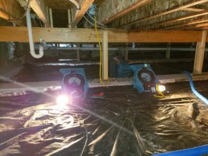 Four Signs You Need Crawlspace Repair Services Right Away