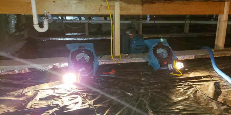 Four Signs You Need Crawlspace Repair Services Right Away
