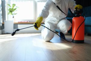 Rental Properties: Who is Responsible for Pest Control?
