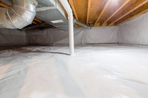Why Moisture Control is Crucial for Your Home’s Health