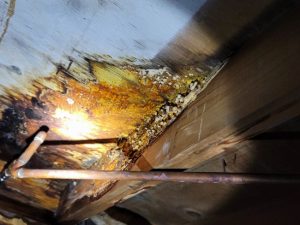 How Effective Crawlspace Repair Can Help Solve Moisture Problems Throughout Your Home