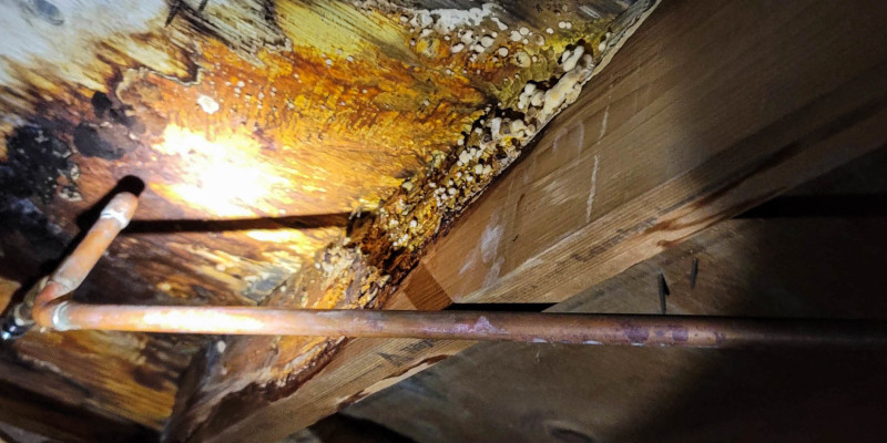 How Effective Crawlspace Repair Can Help Solve Moisture Problems Throughout Your Home