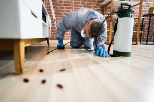 Pest Control: 6 Tips to Keep Pests Out of Your Home This Winter