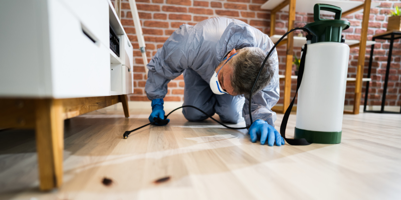 Pest Control: 6 Tips to Keep Pests Out of Your Home This Winter