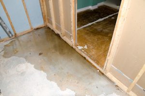 Protect Your Home with Moisture Prevention